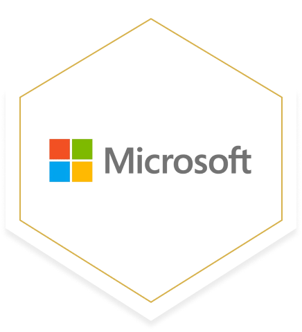 Microsoft logo, Restive is a Microsoft partner