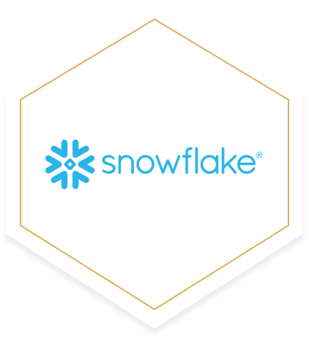 Snowflake logo, Restive is a Snowflake partner