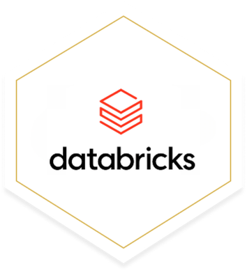 Databricks logo, Restive is a Databricks partner